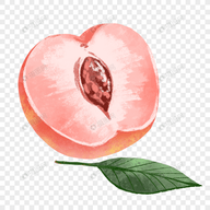 九狐直播APP应用